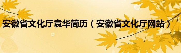 安徽省文化厅袁华简历（安徽省文化厅网站）