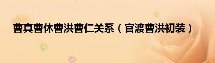 曹真曹休曹洪曹仁关系（官渡曹洪初装）