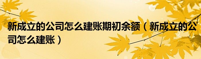 新成立的公司怎么建账期初余额（新成立的公司怎么建账）