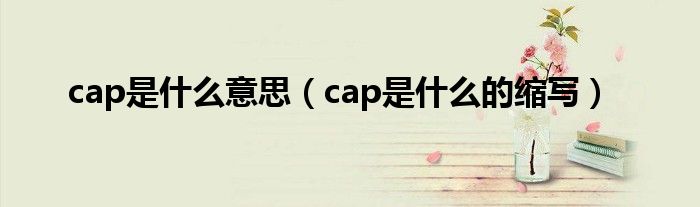 cap是什么意思（cap是什么的缩写）