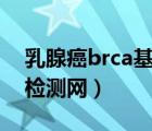 乳腺癌brca基因检测（BRCA基因检测,基因检测网）