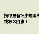 指甲里有细小短黑线会随着指甲长出来（指甲里有细小短黑线怎么回事）