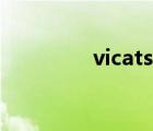 vicats是谁（vicats人妖）