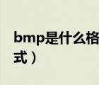 bmp是什么格式的文件格式（bmp是什么格式）