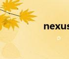 nexus（6(nexus及6p)）