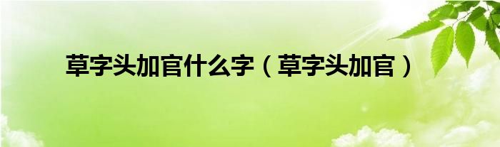 草字头加官什么字（草字头加官）