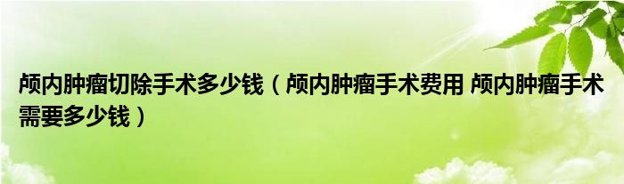 颅内肿瘤切除手术多少钱（颅内肿瘤手术费用 颅内肿瘤手术需要多少钱）