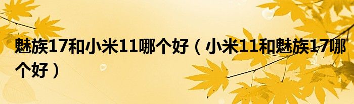 魅族17和小米11哪个好（小米11和魅族17哪个好）