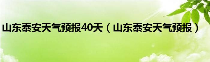 山东泰安天气预报40天（山东泰安天气预报）