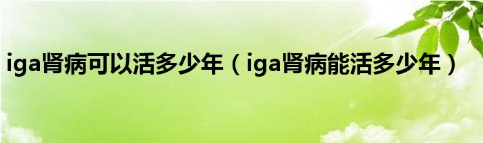 iga肾病可以活多少年（iga肾病能活多少年）