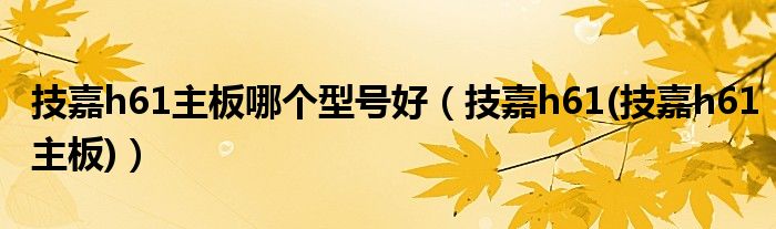 技嘉h61主板哪个型号好（技嘉h61(技嘉h61主板)）