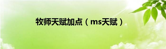 牧师天赋加点（ms天赋）