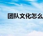 团队文化怎么写范文（团队文化怎么写）