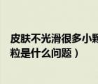 皮肤不光滑很多小颗粒是什么问题呢（皮肤不光滑很多小颗粒是什么问题）