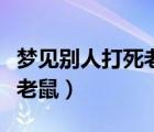 梦见别人打死老鼠是什么意思（梦见别人打死老鼠）