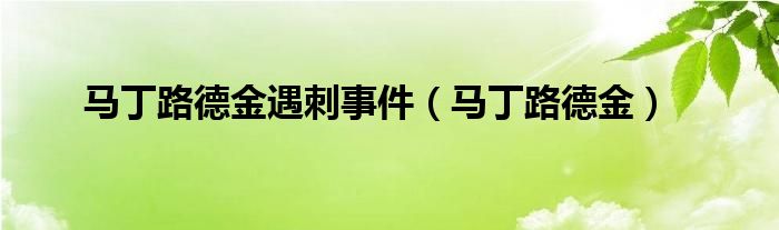 马丁路德金遇刺事件（马丁路德金）