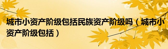 城市小资产阶级包括民族资产阶级吗（城市小资产阶级包括）