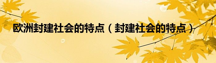 欧洲封建社会的特点（封建社会的特点）