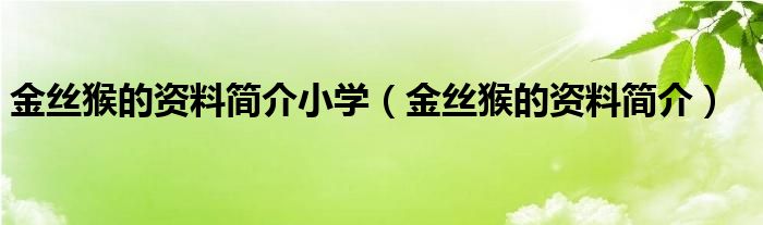 金丝猴的资料简介小学（金丝猴的资料简介）