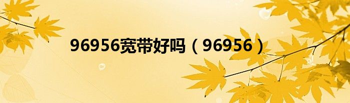 96956宽带好吗（96956）