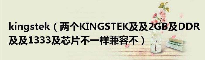 kingstek（两个KINGSTEK及及2GB及DDR及及1333及芯片不一样兼容不）