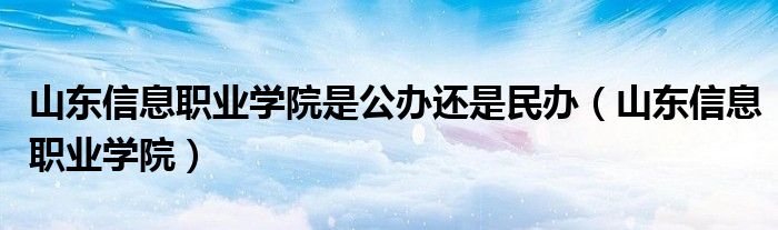 山东信息职业学院是公办还是民办（山东信息职业学院）