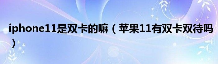 iphone11是双卡的嘛（苹果11有双卡双待吗）