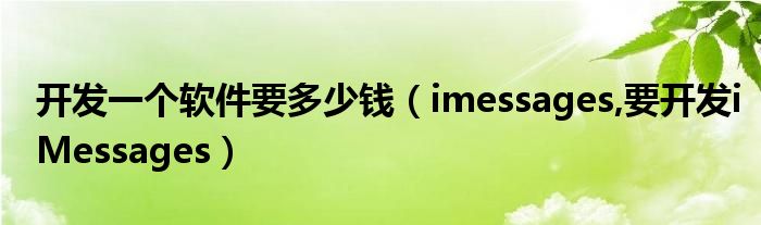 开发一个软件要多少钱（imessages,要开发iMessages）