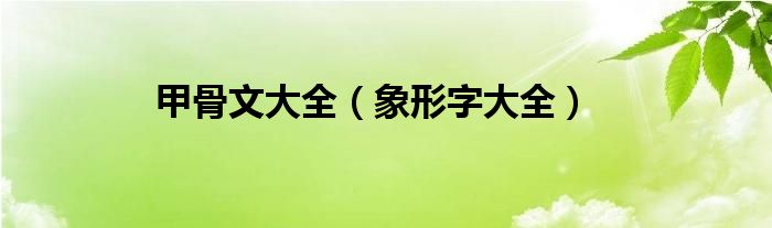 甲骨文大全（象形字大全）