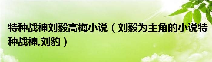 特种战神刘毅高梅小说（刘毅为主角的小说特种战神,刘豹）