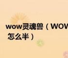 wow灵魂兽（WOW 贱民的指引 任务物品 灵魂坠饰 弄丢了 怎么半）