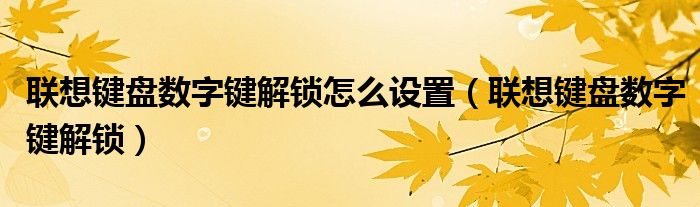 联想键盘数字键解锁怎么设置（联想键盘数字键解锁）