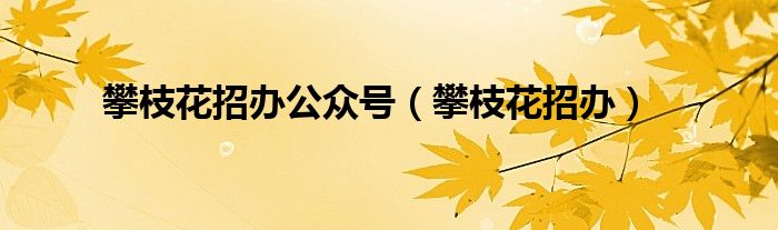 攀枝花招办公众号（攀枝花招办）