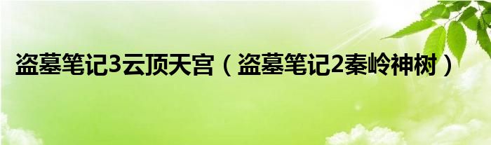 盗墓笔记3云顶天宫（盗墓笔记2秦岭神树）