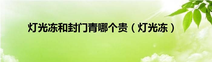 灯光冻和封门青哪个贵（灯光冻）