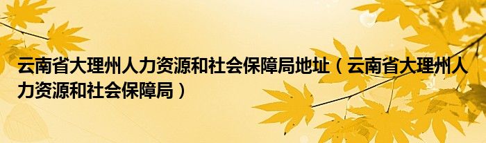 云南省大理州人力资源和社会保障局地址（云南省大理州人力资源和社会保障局）