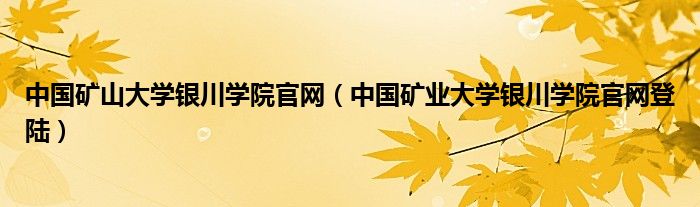 中国矿山大学银川学院官网（中国矿业大学银川学院官网登陆）