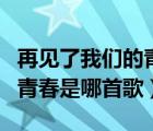 再见了我们的青春啊是哪一首歌（再见了我的青春是哪首歌）