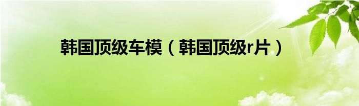 韩国顶级车模（韩国顶级r片）