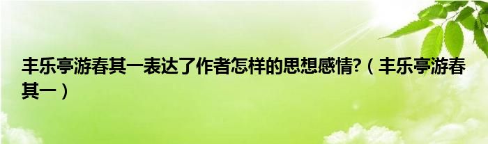 丰乐亭游春其一表达了作者怎样的思想感情?（丰乐亭游春其一）