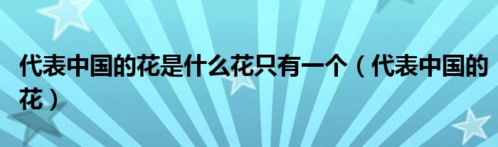 代表中国的花是什么花只有一个（代表中国的花）