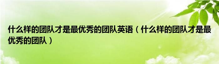 什么样的团队才是最优秀的团队英语（什么样的团队才是最优秀的团队）