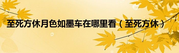 至死方休月色如墨车在哪里看（至死方休）