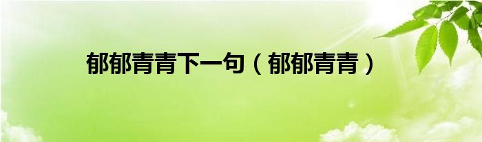 郁郁青青下一句（郁郁青青）