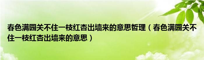 春色满园关不住一枝红杏出墙来的意思哲理（春色满园关不住一枝红杏出墙来的意思）