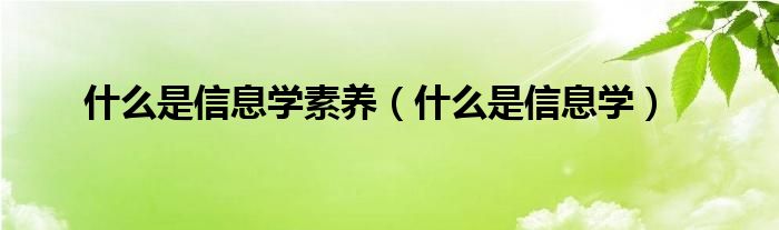 什么是信息学素养（什么是信息学）