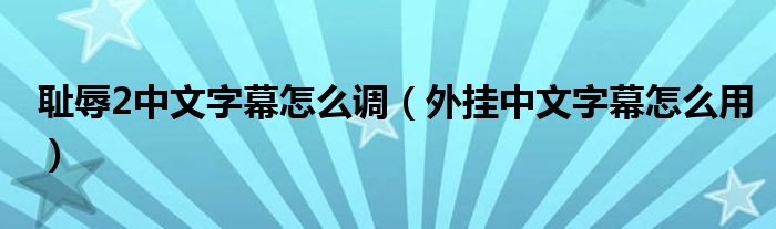 耻辱2中文字幕怎么调（外挂中文字幕怎么用）