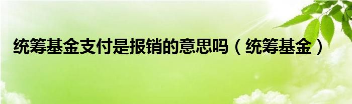 统筹基金支付是报销的意思吗（统筹基金）