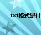 txt格式是什么文本（txt格式是什么）