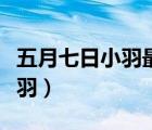 五月七日小羽最后和谁在一起了（五月七日小羽）